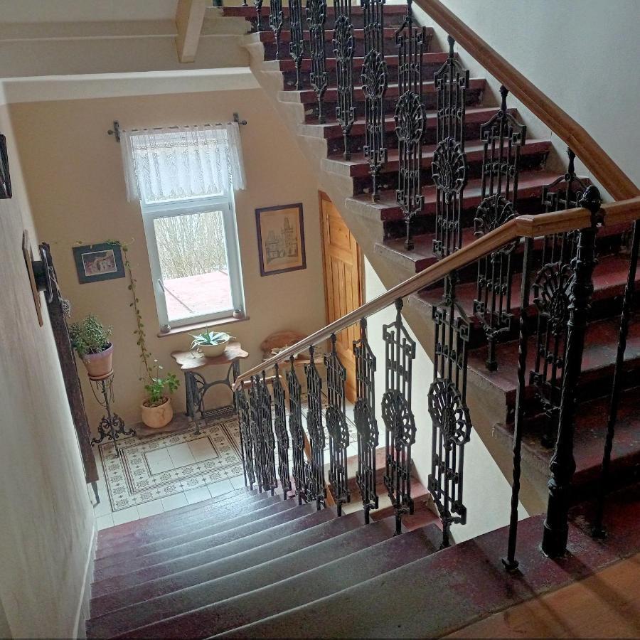 Villa Rosenberg Mariánské Lázně Extérieur photo